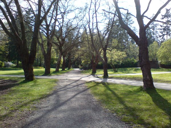 DSC00553.JPG