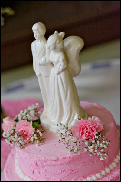 katalin-stefan-wedding-23 katalin-stefan-wedding-23