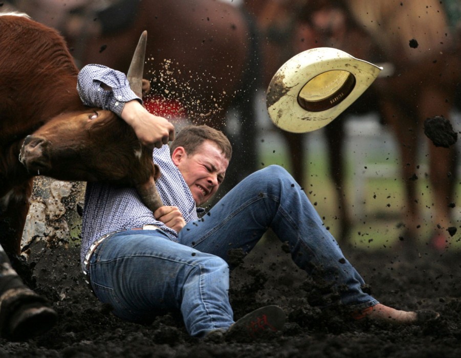 Kevin Taks from Crossfield, AB takes down a calf in 5.5 seconds at  the Rainmaker Rodeo in St. Albert. 2006.