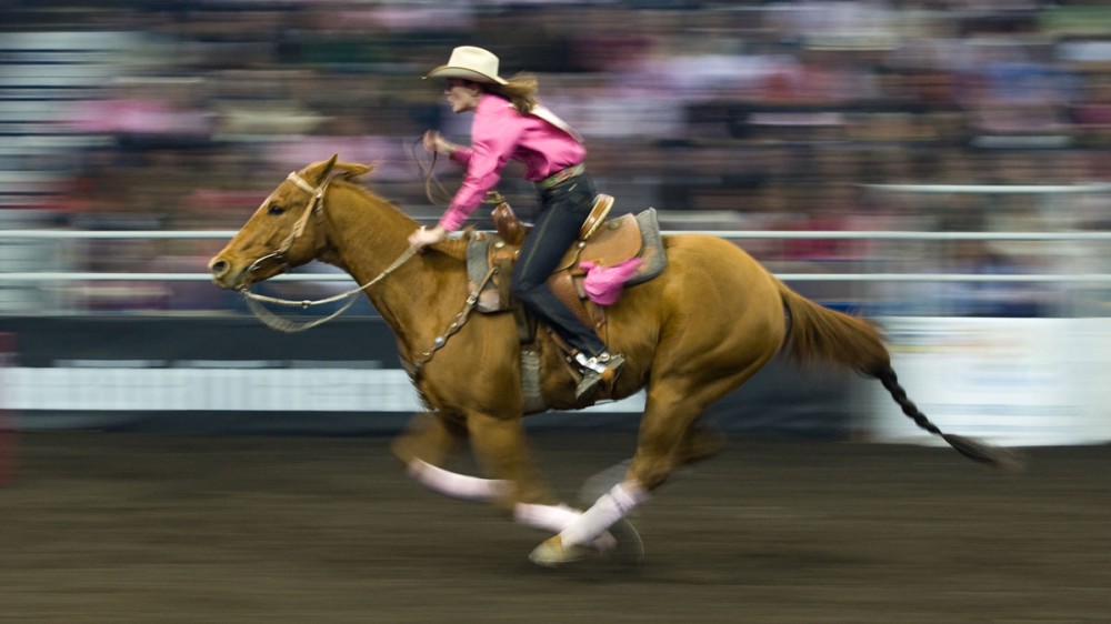 Sierra Stoney from Dewinton, AB during the ladies barrel racing event at the Canadian Finals Rodeo at Rexall Place in Edmonton, AB on November 6, 2008.