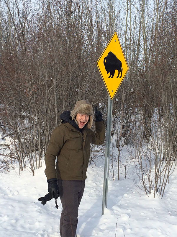 You don't see buffalo crossing signs every day.